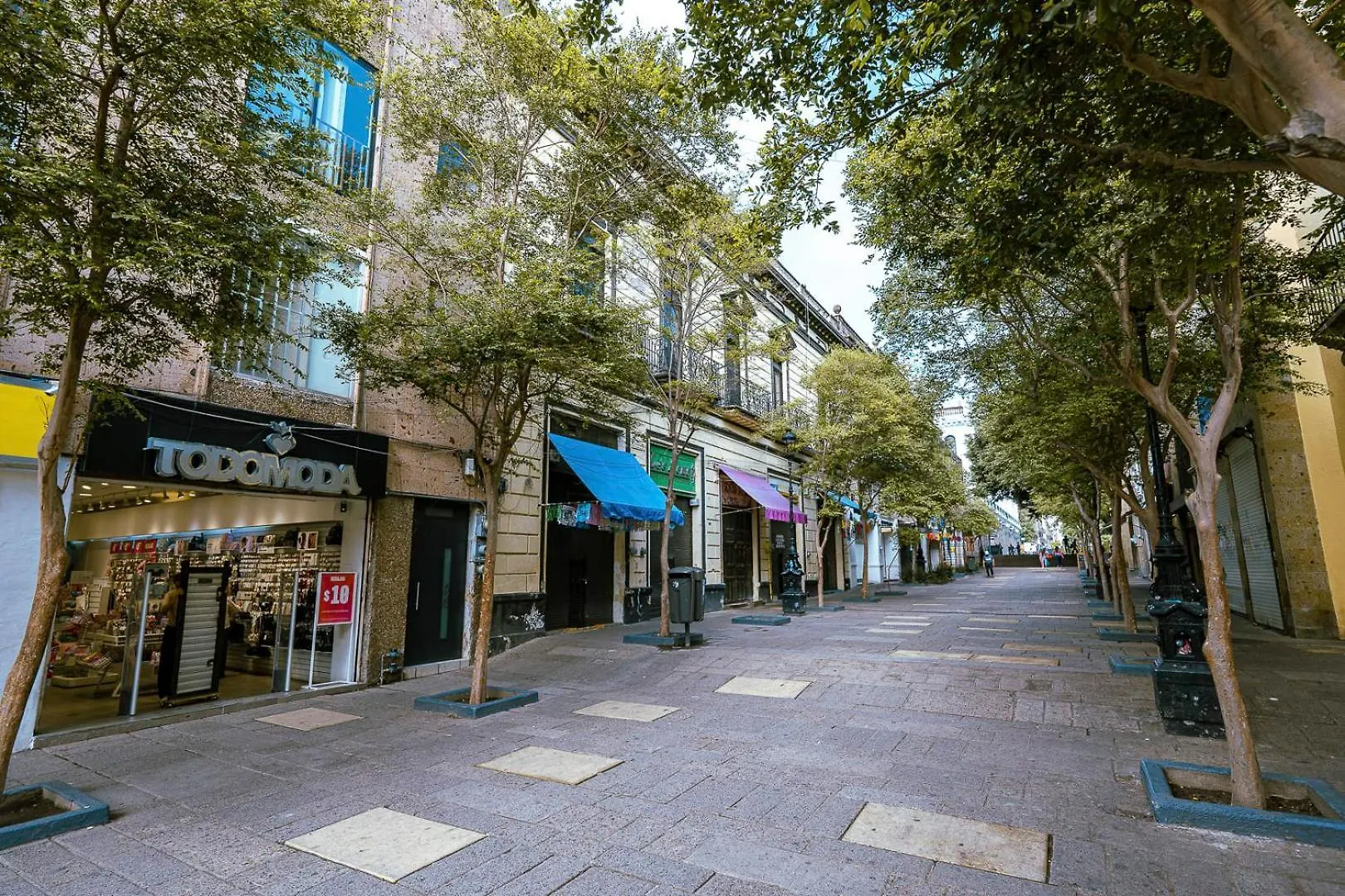 New Apt In Centro Gdl Near Cathedral & Attractions Guadalajara 0*,